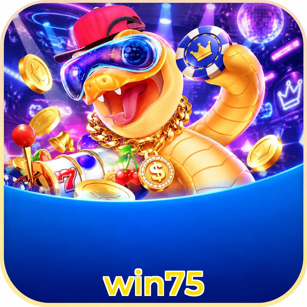 win75 VIP FAQ
